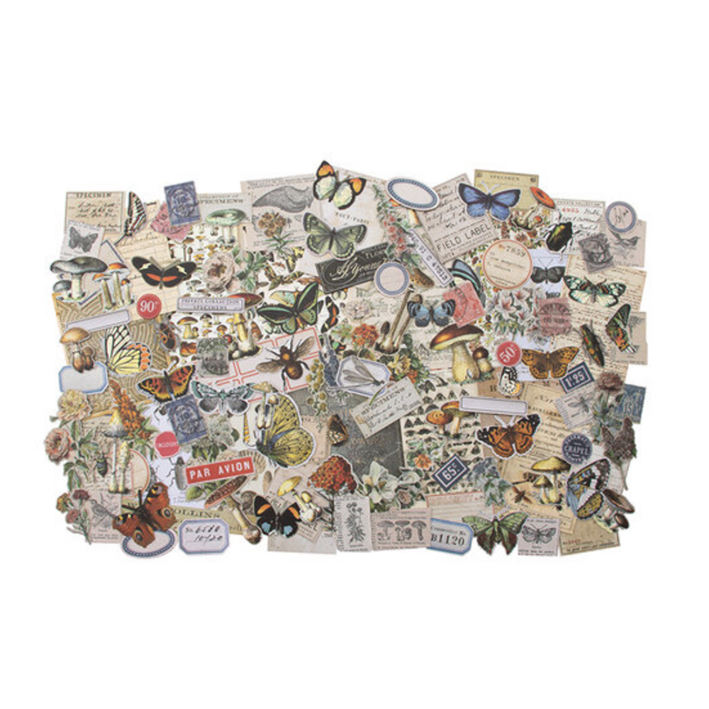 Tim Holtz Field Notes Ephemera Illustrated Faith