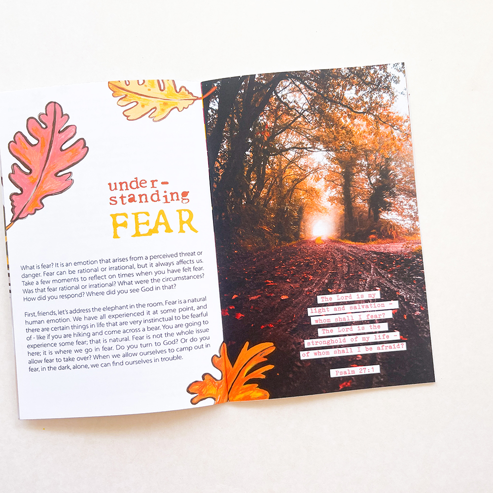 Fiercely Faithful Journal Kit - Illustrated Faith
